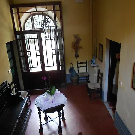 Elena Φόρτε ντε Μάρμι