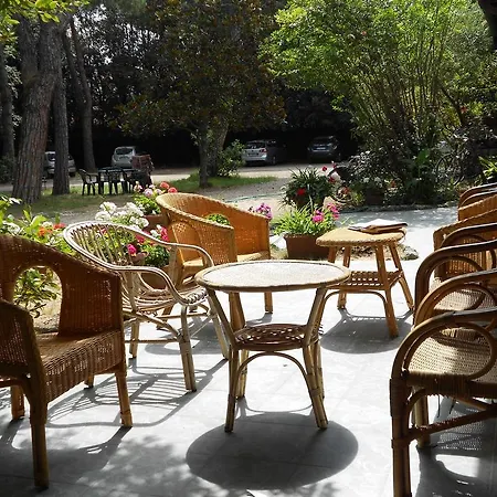 Hotell Elena Forte dei Marmi