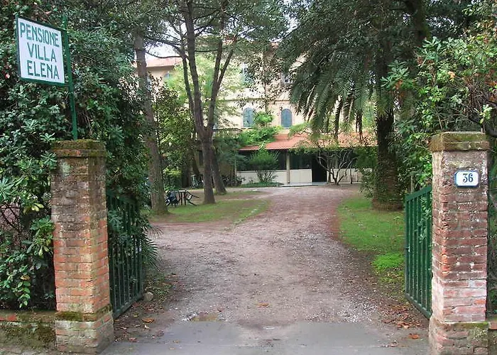 Elena Forte dei Marmi