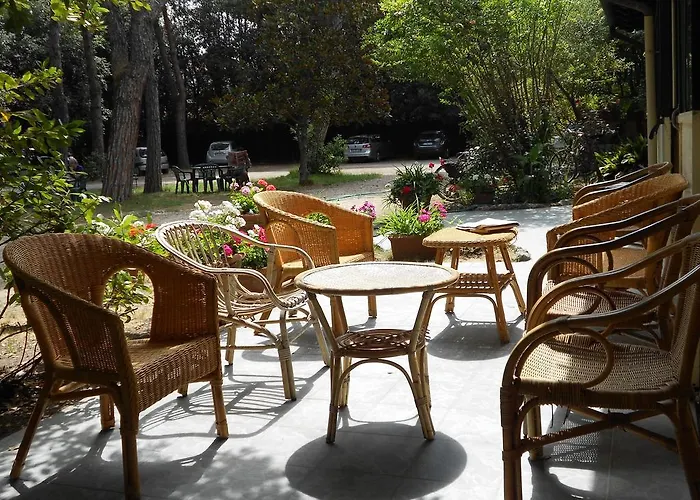 Hotel Elena Forte dei Marmi